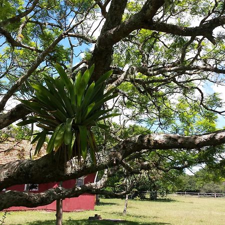 Aldeia Santuario Das Aves Tavares Rom bilde