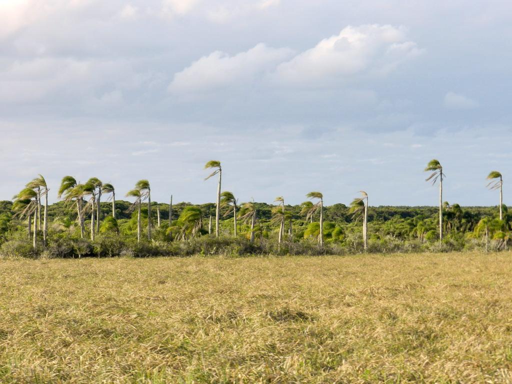 Aldeia Santuario Das Aves Tavares Eksteriør bilde